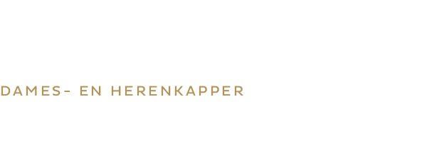 SHINE kapper Heemstede Raadhuisstraat 77 logo dameskapper herenkapper